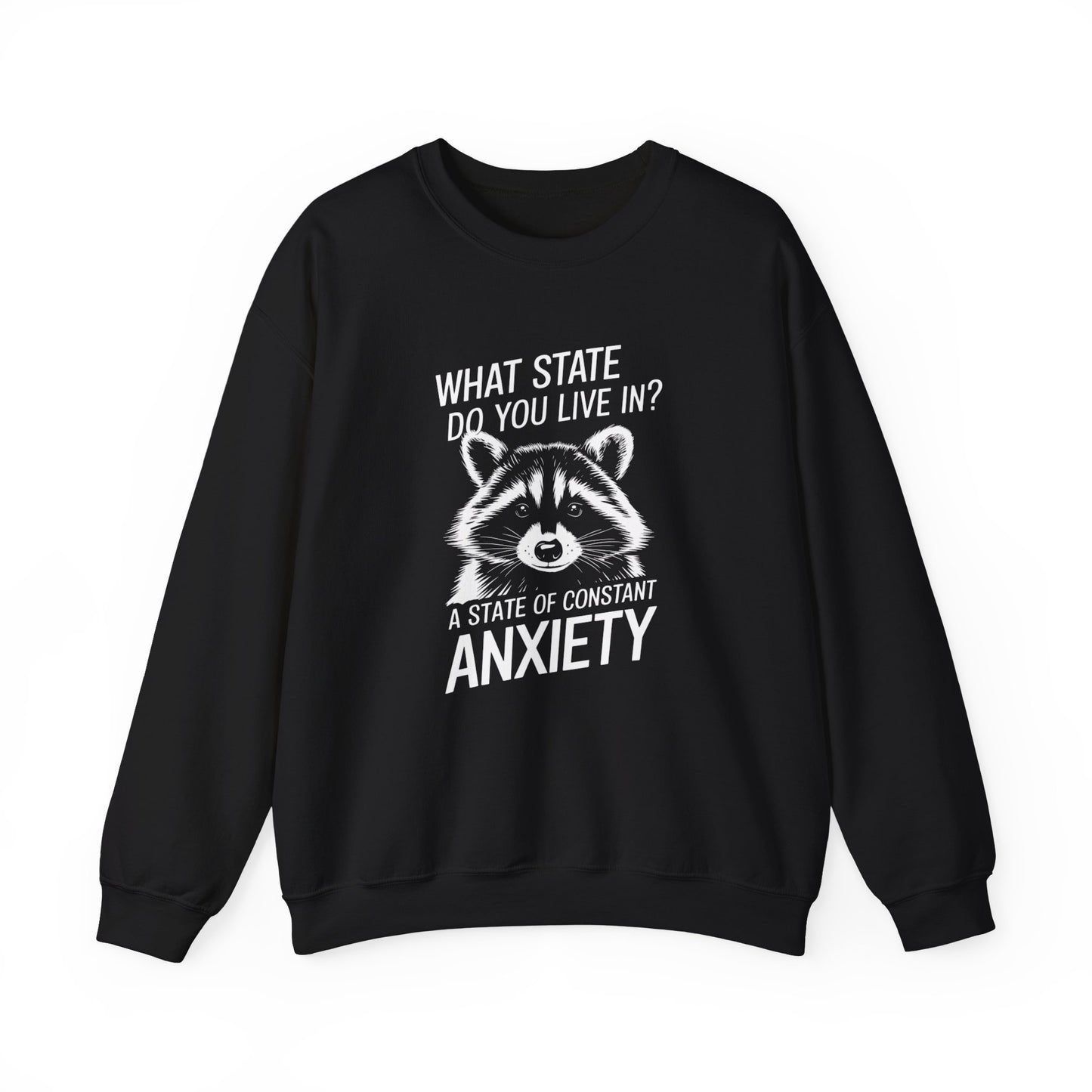 Front view of a black sweater jumper with the text "What state do you live in? A constant state of anxiety" and a cartoon raccoon illustration. Part of the Vivid Divergence Sensory Friendly Unisex Sweater Jumper Range.