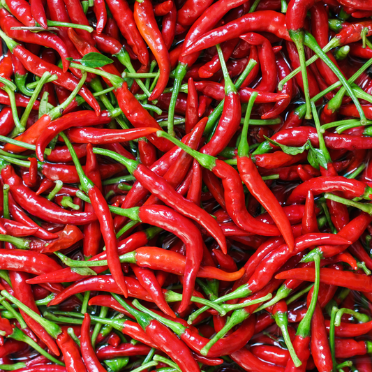 A whole lot of red chili peppers. What does Neurospicy mean?