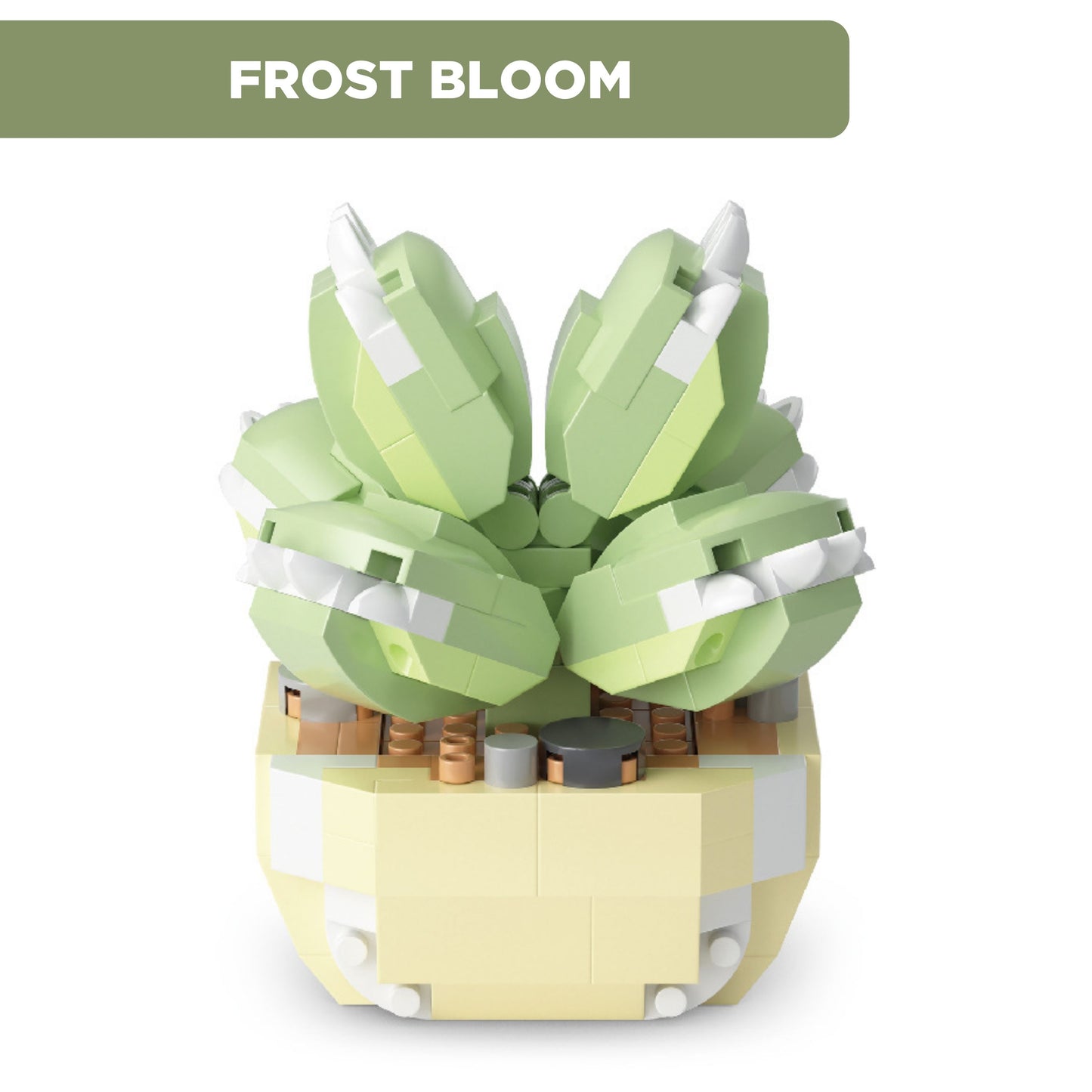 Eternal Plant Building Blocks | Fun Size Flowers and Succulents
