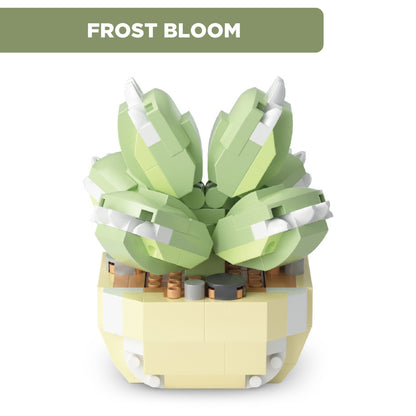 Eternal Plant Building Blocks | Fun Size Flowers and Succulents
