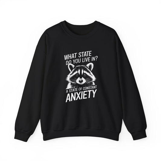 Front view of a black sweater jumper with the text "What state do you live in? A constant state of anxiety" and a cartoon raccoon illustration. Part of the Vivid Divergence Sensory Friendly Unisex Sweater Jumper Range.